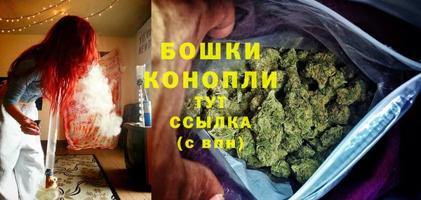 метадон Гусь-Хрустальный