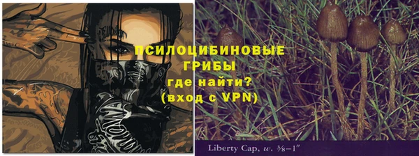 тгк Гусев