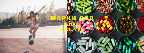 тгк Гусев