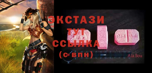тгк Гусев