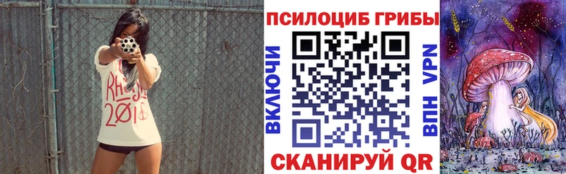 Купить где  Сызрань  Псилоцибиновые грибы Cubensis 