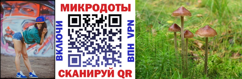Псилоцибиновые грибы Psilocybe Сызрань
